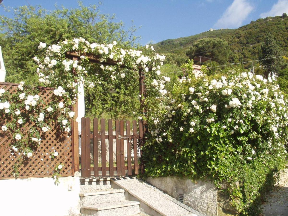 Villa Dei Limoni Sant'Andrea (Isola d'Elba) Exterior foto